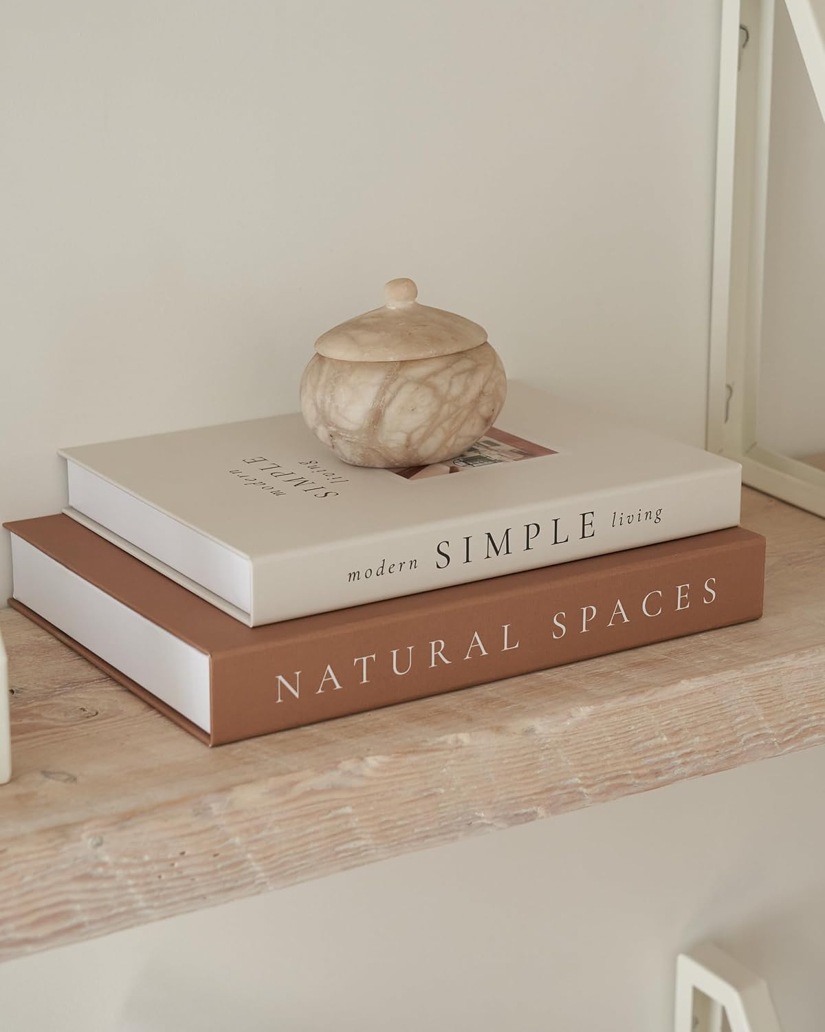 Beautiful Decorative Books — Set of 2 photo 5