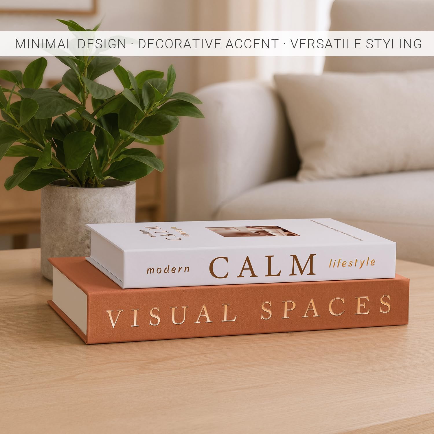 Minimalist Decorative Books — Set of 2 styled in a home